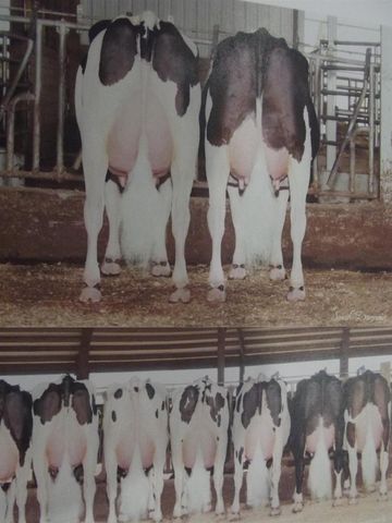 208784 River Run Road, Stratford, WI 54484