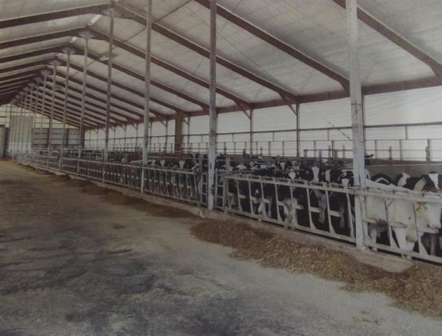 208784 River Run Road, Stratford, WI 54484