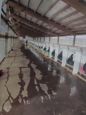 208784 River Run Road, Stratford, WI 54484