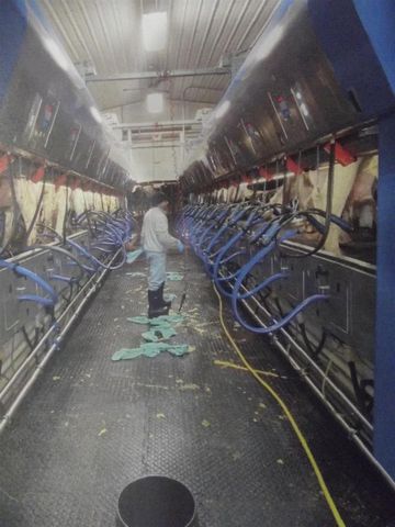 208784 River Run Road, Stratford, WI 54484