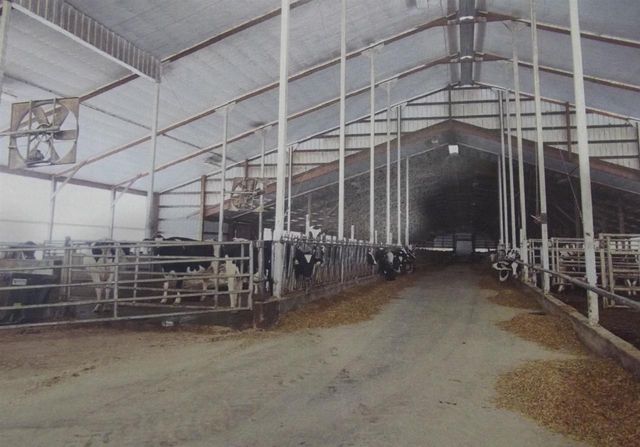 208784 River Run Road, Stratford, WI 54484