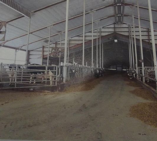 208784 River Run Road, Stratford, WI 54484