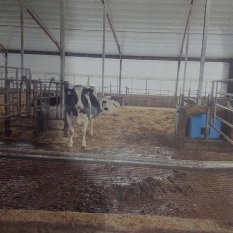 208784 River Run Road, Stratford, WI 54484