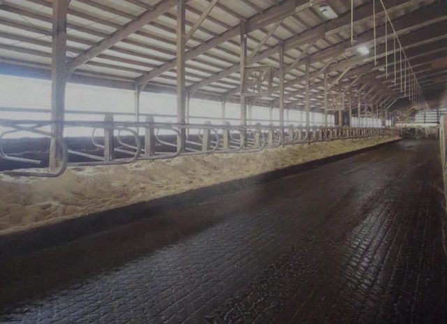 208784 River Run Road, Stratford, WI 54484