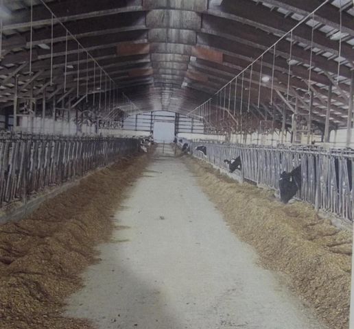 208784 River Run Road, Stratford, WI 54484