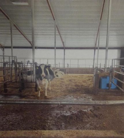 208784 River Run Road, Stratford, WI 54484