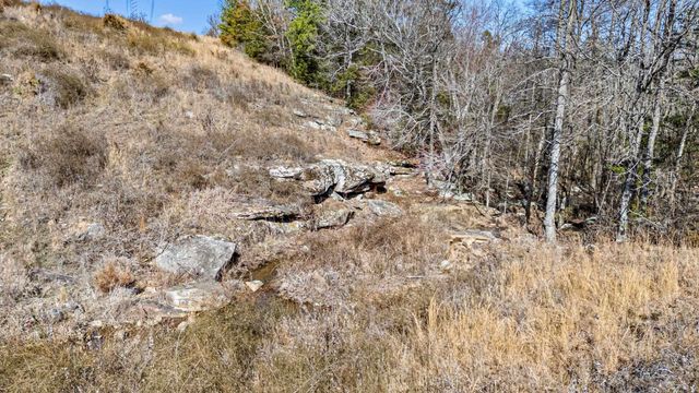000 Flurry Road, Delaware, AR 72835