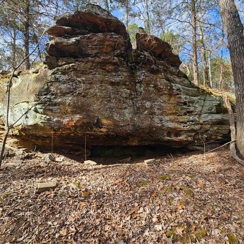 000 Flurry Road, Delaware, AR 72835