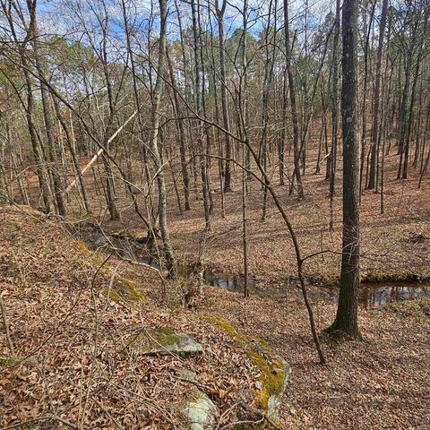 000 Flurry Road, Delaware, AR 72835