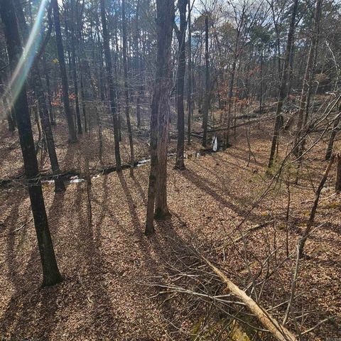 000 Flurry Road, Delaware, AR 72835