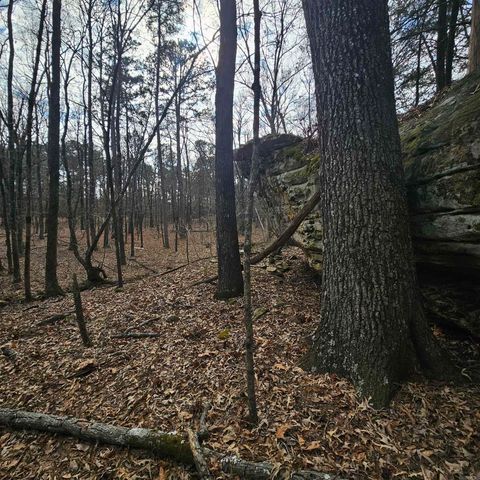 000 Flurry Road, Delaware, AR 72835