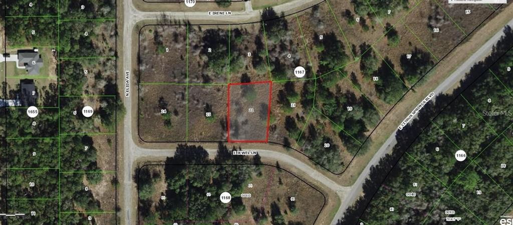 599 E JEWEL LANE, Dunnellon, FL 34434