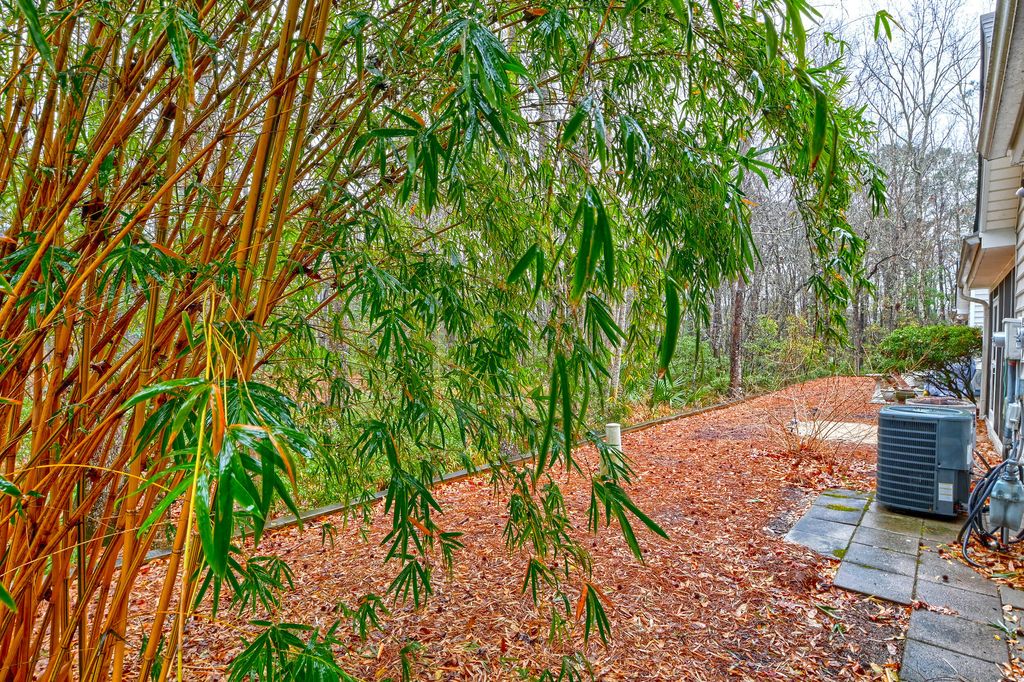 Image 10 of property listing at 1614 Camfield Lane, Mount Pleasant, SC 29466