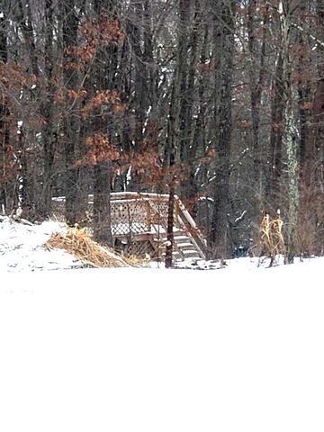 414 DEVILS BACKBONE OLOOK, Stephenson, VA 22656