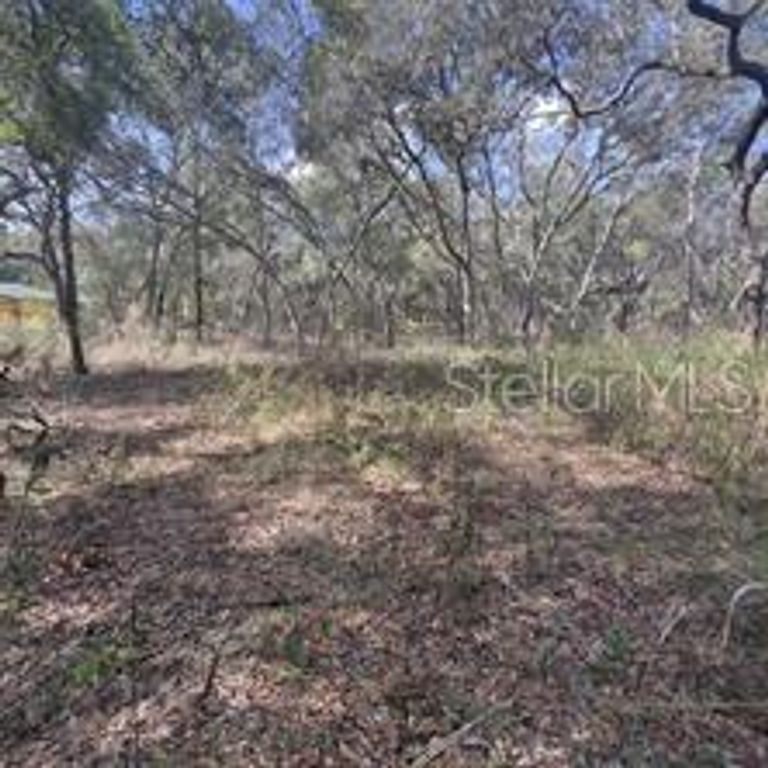 7377 KNOXVILLE DRIVE, Webster, FL 33597