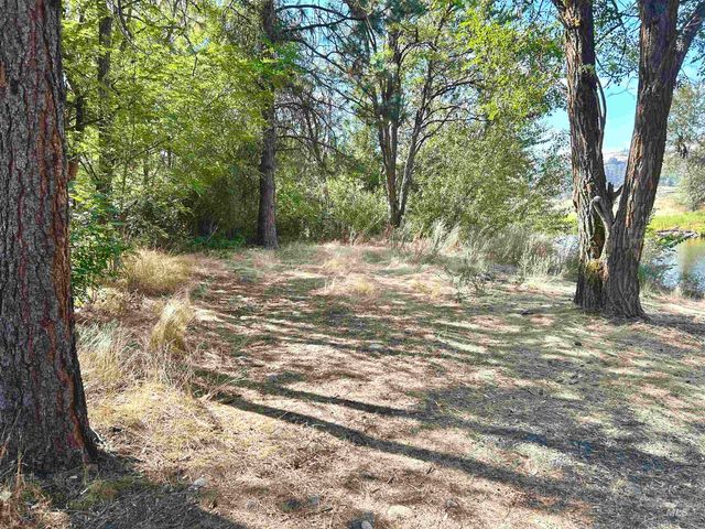 TBD Highway 13, Stites, ID 83552