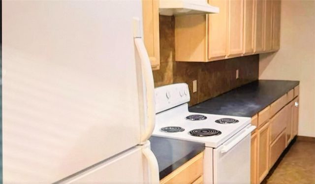 11203 Shannon Hills Drive, Houston, TX 77099