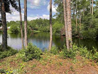 12335 Ailanthus Dr, Pensacola, FL 32506