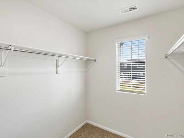 1600 Riverplace Drive 4, Windsor, CO 80550