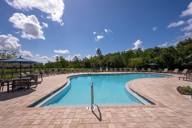 2907 SKYLINE LOOP, Kissimmee, FL 34758