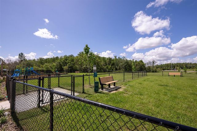 2907 SKYLINE LOOP, Kissimmee, FL 34758