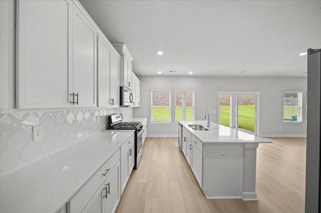 412 Creeping Jenny Drive, Piedmont, SC 29388