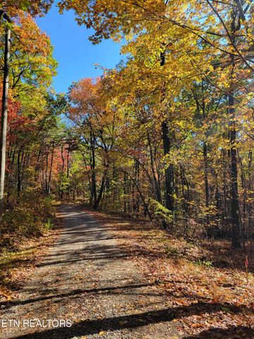 Avens Lane, Tallassee, TN 37878