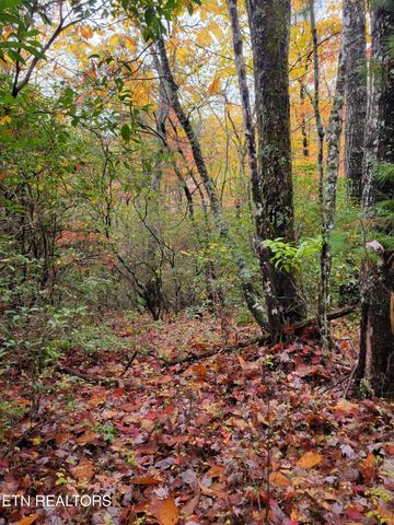 Avens Lane, Tallassee, TN 37878