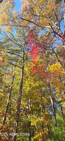 Avens Lane, Tallassee, TN 37878