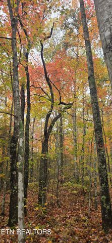 Avens Lane, Tallassee, TN 37878