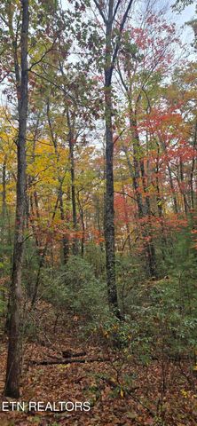 Avens Lane, Tallassee, TN 37878