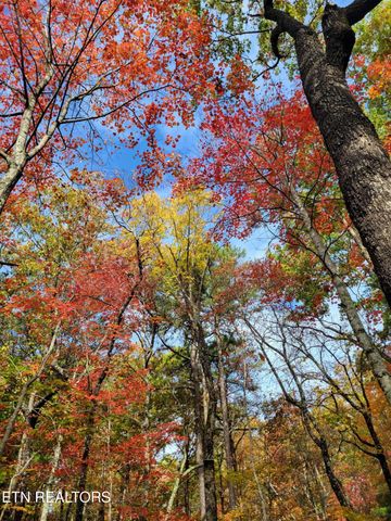 Avens Lane, Tallassee, TN 37878