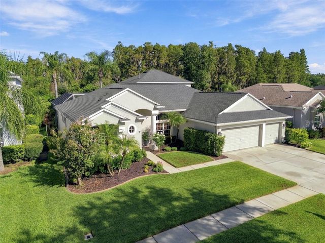 3125 ASHMONTE DRIVE, Land O Lakes, FL 34638