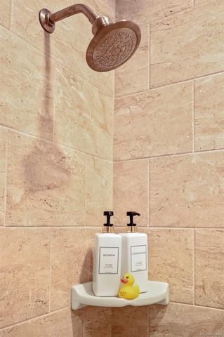 4816 S Zang Way, Morrison, CO 80465