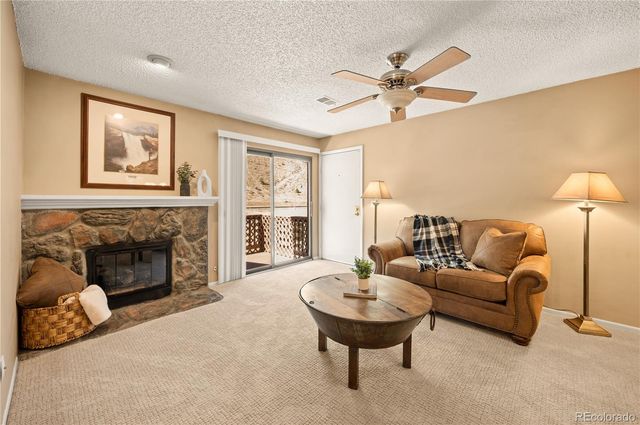 1890 Argentine Street 303, Georgetown, CO 80444
