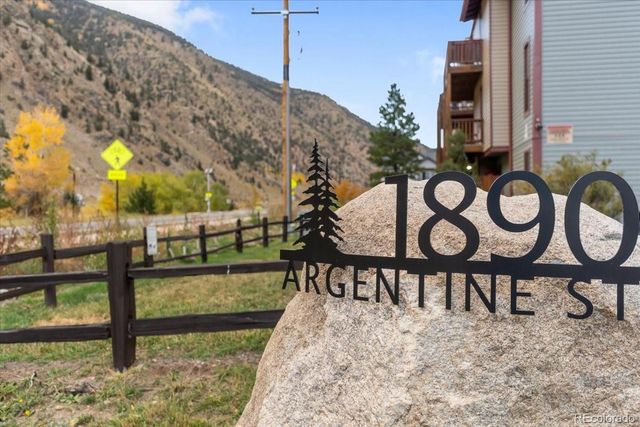 1890 Argentine Street 303, Georgetown, CO 80444