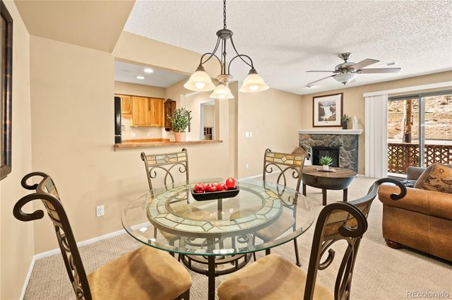 1890 Argentine Street 303, Georgetown, CO 80444