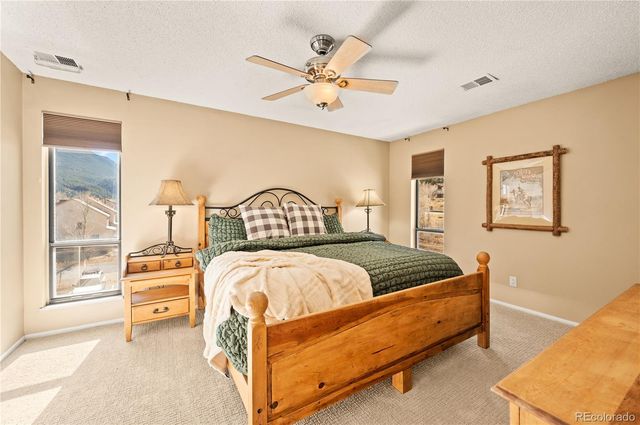 1890 Argentine Street 303, Georgetown, CO 80444