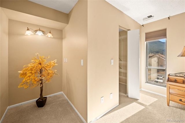 1890 Argentine Street 303, Georgetown, CO 80444
