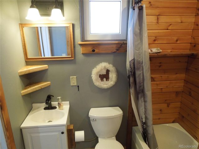 606 E 11th Street, Leadville, CO 80461