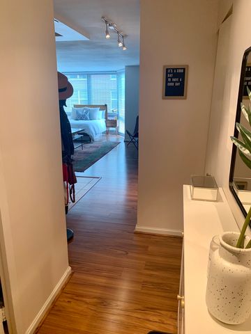 21 W Goethe Street 11E, Chicago, IL 60610