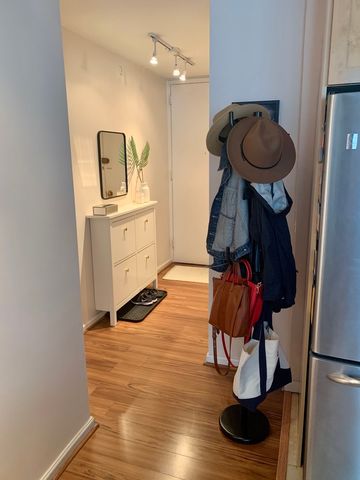 21 W Goethe Street 11E, Chicago, IL 60610