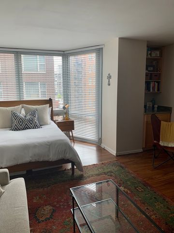 21 W Goethe Street 11E, Chicago, IL 60610