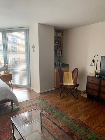 21 W Goethe Street 11E, Chicago, IL 60610