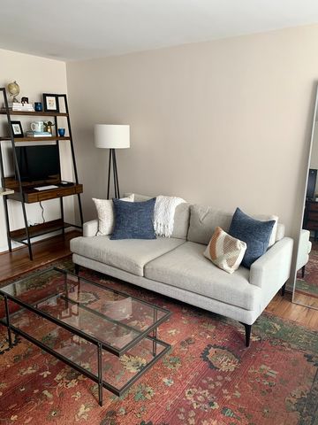 21 W Goethe Street 11E, Chicago, IL 60610