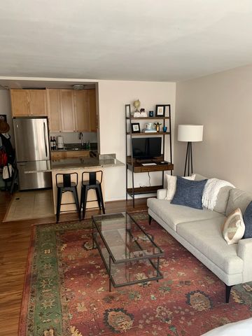 21 W Goethe Street 11E, Chicago, IL 60610