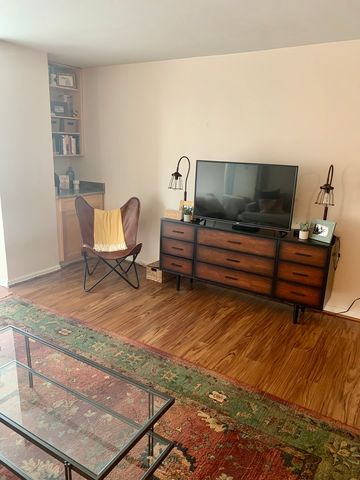 21 W Goethe Street 11E, Chicago, IL 60610