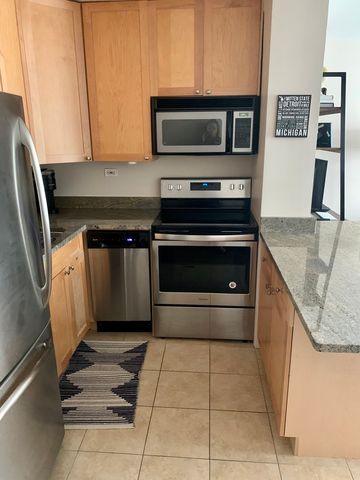 21 W Goethe Street 11E, Chicago, IL 60610