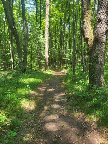 3537 Lake Ridge Lane, Allegan, MI 49010