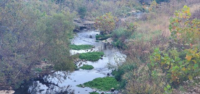 0 Wartrace Hwy, Pleasant Shade, TN 37145